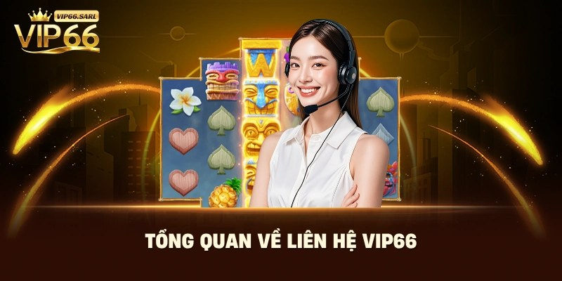 Tổng quan về liên hệ Vip66